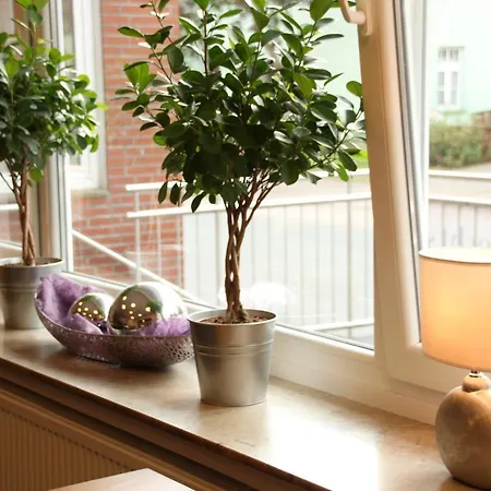 Albrecht's & Restaurant Gmbh